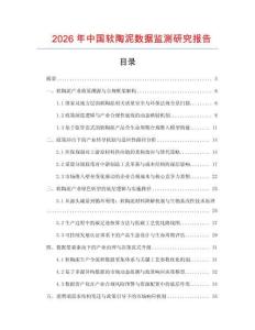 2026年中國軟陶泥數據監測研究報告