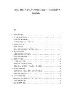 2025-2030消費(fèi)品行業(yè)品牌升級(jí)路徑與多渠道銷售戰(zhàn)略規(guī)劃