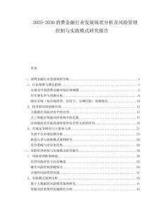 2025-2030消費(fèi)金融行業(yè)發(fā)展現(xiàn)狀分析及風(fēng)險(xiǎn)管理控制與實(shí)踐模式研究報(bào)告