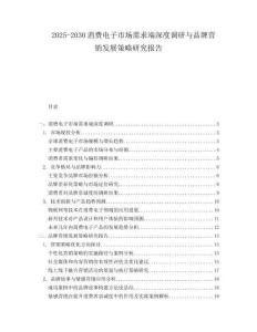 2025-2030消費(fèi)電子市場需求端深度調(diào)研與品牌營銷發(fā)展策略研究報(bào)告