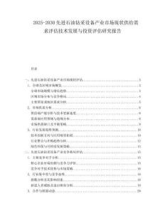 2025-2030先進石油鉆采設(shè)備產(chǎn)業(yè)市場現(xiàn)狀供給需求評估技術(shù)發(fā)展與投資評估研究報告