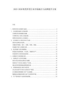 2025-2030鞋類外貿(mào)行業(yè)市場痛點與品牌提升方案