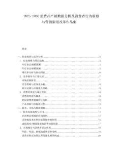 2025-2030消費品產銷數據分析及消費者行為洞察與營銷渠道改革作品集