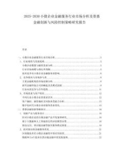 2025-2030小微企業(yè)金融服務(wù)行業(yè)市場分析及普惠金融創(chuàng)新與風(fēng)險控制策略研究報告