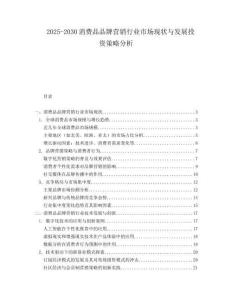 2025-2030消費(fèi)品品牌營(yíng)銷(xiāo)行業(yè)市場(chǎng)現(xiàn)狀與發(fā)展投資策略分析