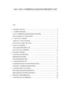 2025-2030小型微耕機(jī)發(fā)動(dòng)機(jī)熱效率測(cè)試提升分析