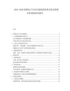 2025-2030消費(fèi)電子行業(yè)市場(chǎng)現(xiàn)狀供需分析及投資評(píng)估規(guī)劃研究報(bào)告