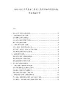 2025-2030消費電子行業(yè)現(xiàn)狀供需形勢與投資風險評估規(guī)劃分析