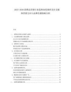 2025-2030消費品營銷行業(yè)趨勢深度調(diào)研及社交媒體營銷方向與品牌傳播策略分析