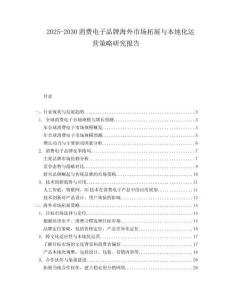 2025-2030消費電子品牌海外市場拓展與本地化運營策略研究報告