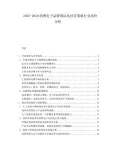 2025-2030消費電子品牌國際化經(jīng)營策略行業(yè)均價分析