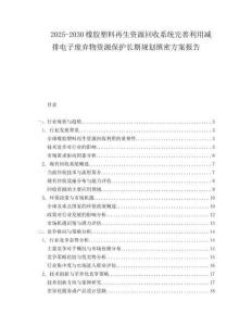 2025-2030橡膠塑料再生資源回收系統(tǒng)完善利用減排電子廢棄物資源保護長期規(guī)劃縝密方案報告