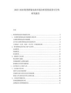 2025-2030鞋類跨境電商市場分析投資前景可行性研究報告