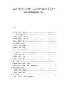 2025-2030鞋材制造產業市場深度調研及發展趨勢與投資前景預測研究報告