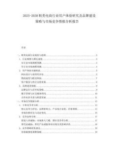 2025-2030鞋類電商行業(yè)用戶體驗研究及品牌建設(shè)策略與市場競爭情報分析報告