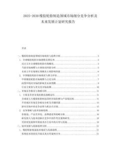 2025-2030橡膠輪胎制造領域市場細分競爭分析及未來發(fā)展計劃研究報告
