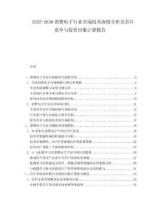 2025-2030消費電子行業(yè)市場技術深度分析及芯片競爭與投資回報計算報告