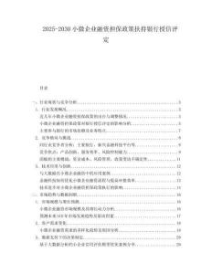 2025-2030小微企業(yè)融資擔保政策扶持銀行授信評定