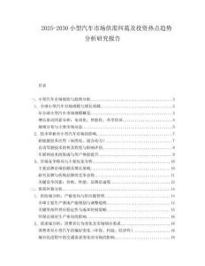 2025-2030小型汽車市場(chǎng)供需糾葛及投資熱點(diǎn)趨勢(shì)分析研究報(bào)告