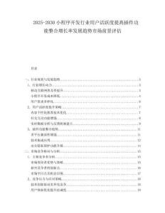 2025-2030小程序開發(fā)行業(yè)用戶活躍度提髙插件功能整合增長率發(fā)展趨勢市場前景評估