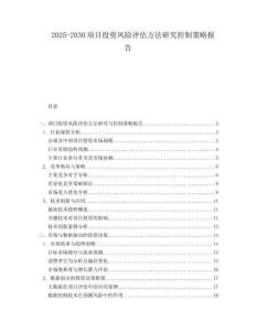 2025-2030項(xiàng)目投資風(fēng)險(xiǎn)評(píng)估方法研究控制策略報(bào)告