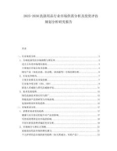 2025-2030洗滌用品行業(yè)市場供需分析及投資評估規(guī)劃分析研究報告