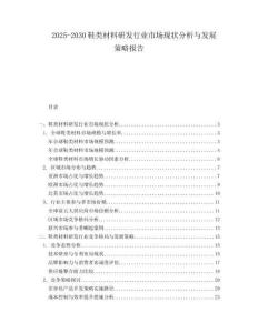 2025-2030鞋類材料研發(fā)行業(yè)市場(chǎng)現(xiàn)狀分析與發(fā)展策略報(bào)告
