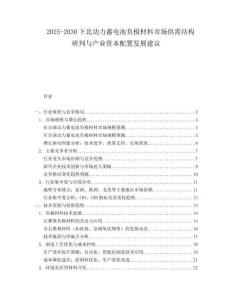 2025-2030下北動(dòng)力蓄電池負(fù)極材料市場供需結(jié)構(gòu)研判與產(chǎn)業(yè)資本配置發(fā)展建議