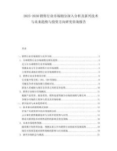 2025-2030銷售行業(yè)市場細(xì)分深入分析及新興技術(shù)與未來趨勢與投資方向研究咨詢報告