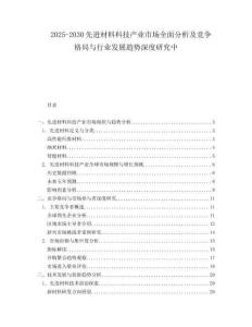 2025-2030先進材料科技產(chǎn)業(yè)市場全面分析及競爭格局與行業(yè)發(fā)展趨勢深度研究中