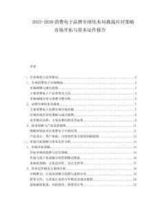 2025-2030消費(fèi)電子品牌全球化布局挑戰(zhàn)應(yīng)對(duì)策略市場(chǎng)開拓與資本運(yùn)作報(bào)告
