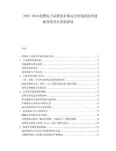 2025-2030消費(fèi)電子品牌競(jìng)爭(zhēng)格局分析現(xiàn)狀技術(shù)創(chuàng)新投資評(píng)估發(fā)展規(guī)劃