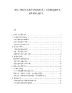 2025-2030洗發(fā)水行業(yè)市場供需分析及投資評估規(guī)劃分析研究報(bào)告