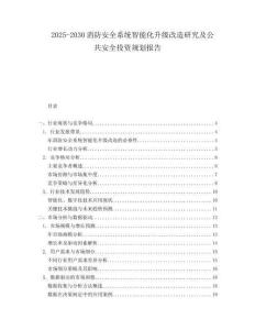 2025-2030消防安全系統(tǒng)智能化升級(jí)改造研究及公共安全投資規(guī)劃報(bào)告