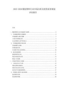 2025-2030橡膠塑料行業(yè)市場(chǎng)分析及投資前景規(guī)劃評(píng)估報(bào)告