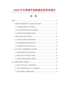 2025年中國滿天星數據監測研究報告