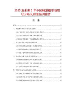 2025及未來5年中國堿液槽市場現狀分析及前景預測報告