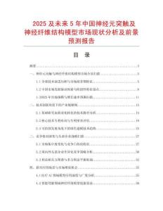 2025及未來5年中國神經(jīng)元突觸及神經(jīng)纖維結(jié)構(gòu)模型市場現(xiàn)狀分析及前景預(yù)測報(bào)告