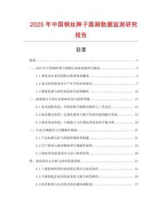 2025年中國鋼絲辮子圓刷數據監(jiān)測研究報告