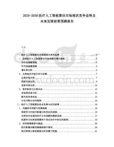 2025-2030醫(yī)療人工智能算法市場現(xiàn)狀競爭態(tài)勢及未來發(fā)展前景預(yù)測報告