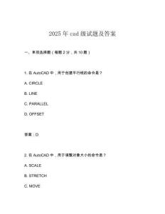 2025年cad級試題及答案