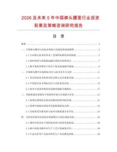 2026及未來5年中國褲頭腰里行業投資前景及策略咨詢研究報告