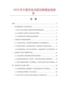 2025年中國充電式蚊拍數(shù)據(jù)監(jiān)測報告