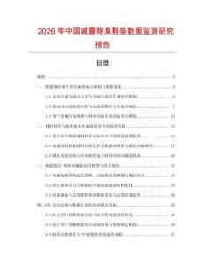 2026年中國減震除臭鞋墊數據監測研究報告