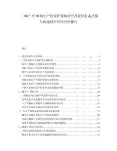 2025-2030知識產權保護策略研究及侵權打擊措施與跨境保護合作分析報告