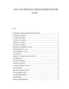 2025-2030智慧倉儲行業(yè)物流技術(shù)集成應(yīng)用商業(yè)模式分析