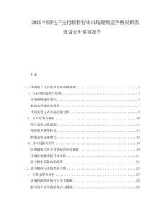 2025中國電子支付軟件行業市場現狀競爭格局供需規劃分析領域報告