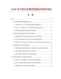 2026年中國水柱氧吧數據監測研究報告
