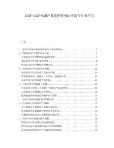 2025-2030知識產權保護的司法實踐與行業應用