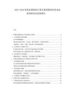 2025-2030智慧倉儲(chǔ)物流行業(yè)市場規(guī)模供給需求技術(shù)發(fā)展為何投資報(bào)告